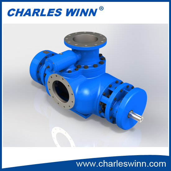 Double Screw Pump