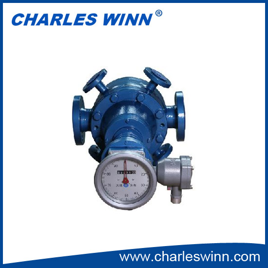 Oval Gear flow meter 1